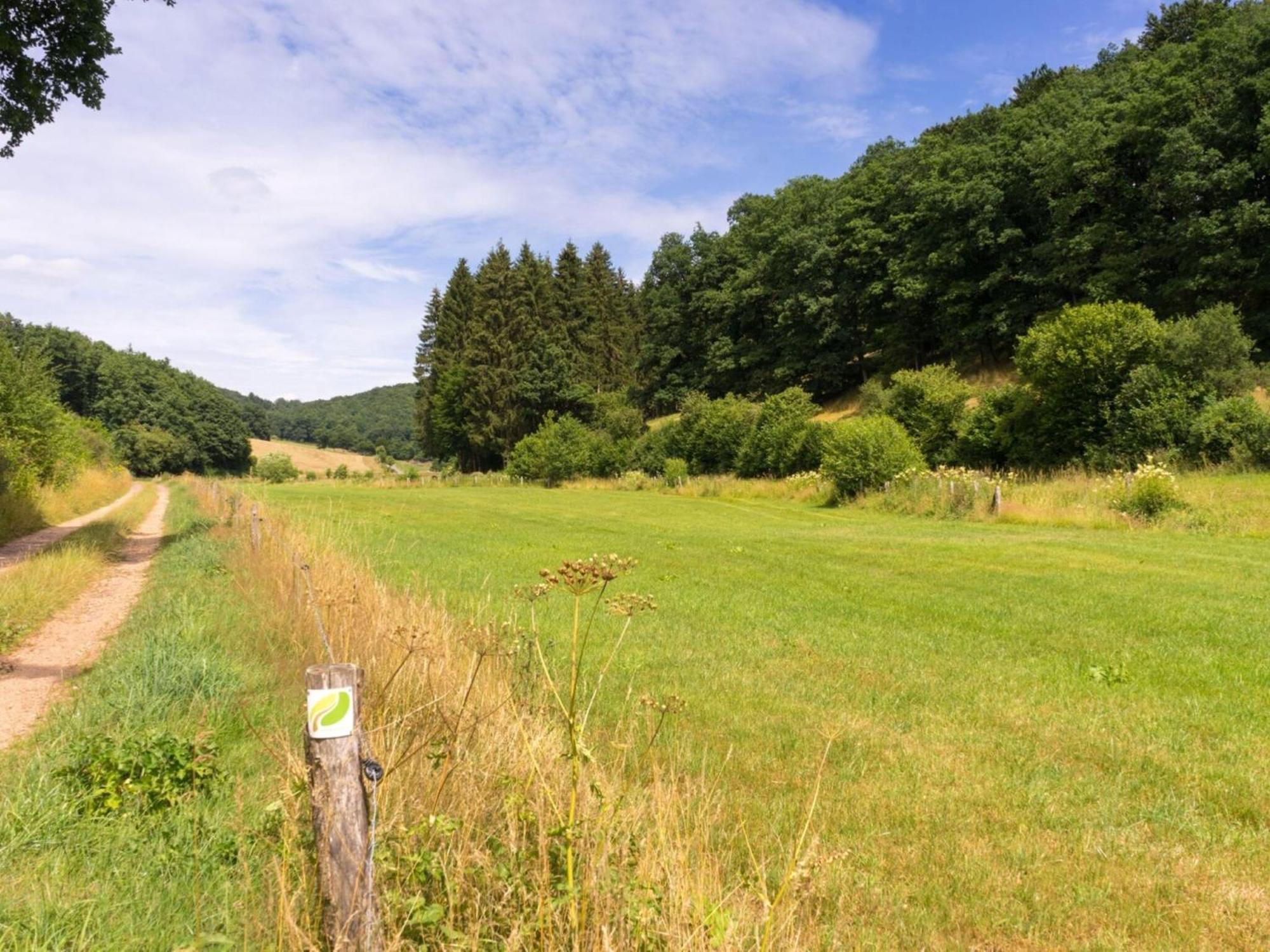 Luxurious Bungalow In Waxweiler In The Eifel ภายนอก รูปภาพ